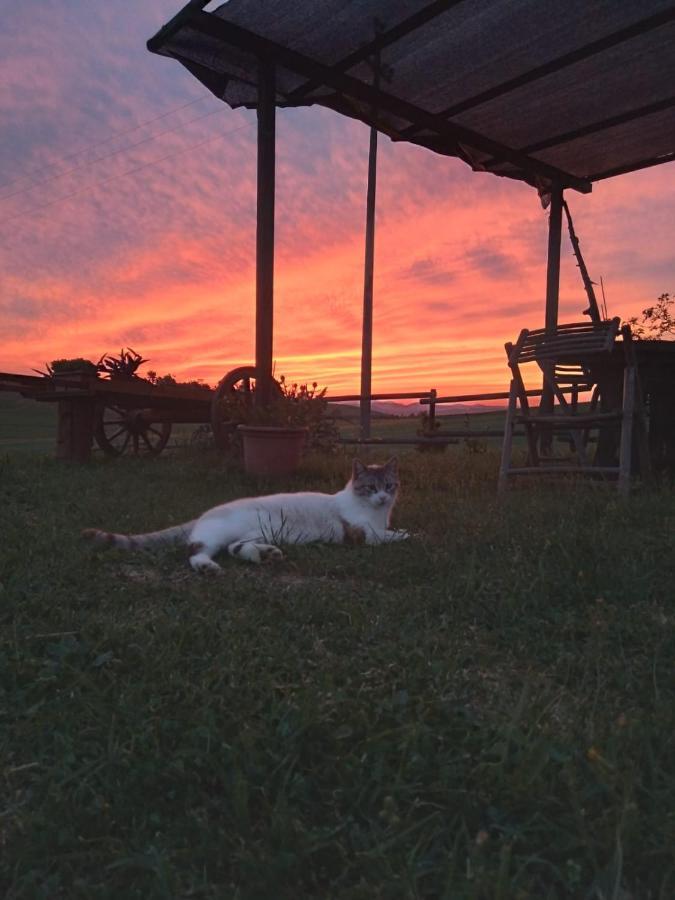 Enjoy Sunset Vila Colle Massari Exterior foto