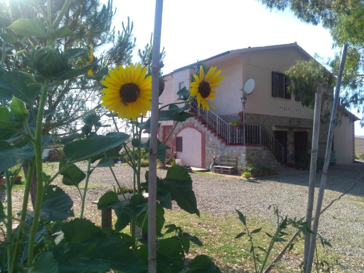 Enjoy Sunset Vila Colle Massari Exterior foto